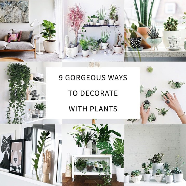 Using Plants In Home Decor Elegant 9 Gorgeous Ways to Decorate with Plants Melyssa Griffin