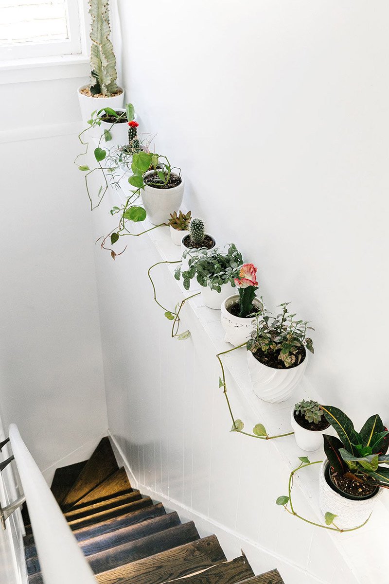 Using Plants In Home Decor Fresh 33 Creative Ways to Include Indoor Plants In Your Home