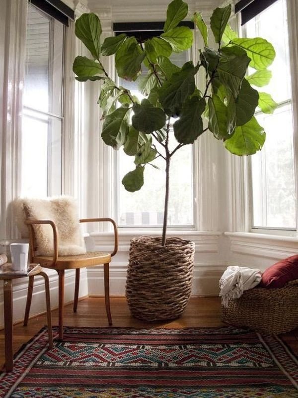 Using Plants In Home Decor Inspirational 7 Stylish Ways to Use Indoor Plants In Your Home S Décor