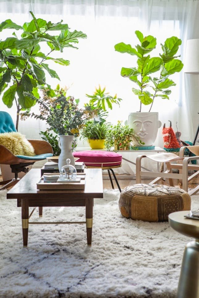 Using Plants In Home Decor Luxury 25 Unexpected Ways to Decorate with Plants