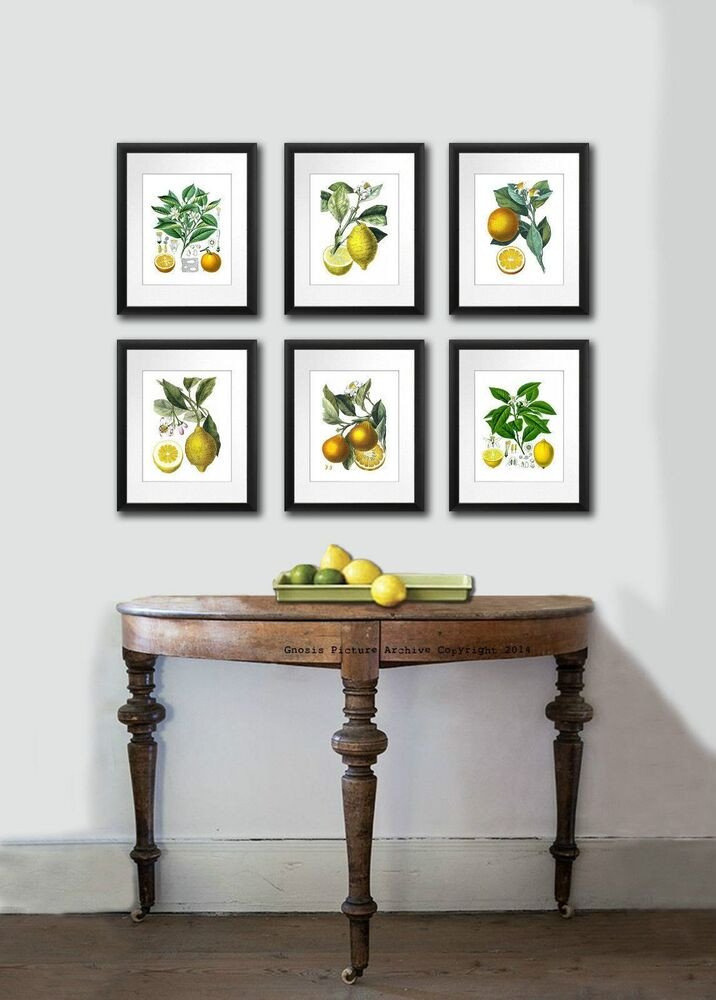 Wall Art Decor for Kitchen Awesome Antique Fruit Print Set Of 6 Lemon orange Botanical Wall Art Dining Room Decor