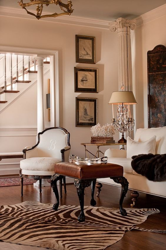 Zebra Decor for Living Room Elegant Animal Print Interior Decor for A Natural Look Of Your Home