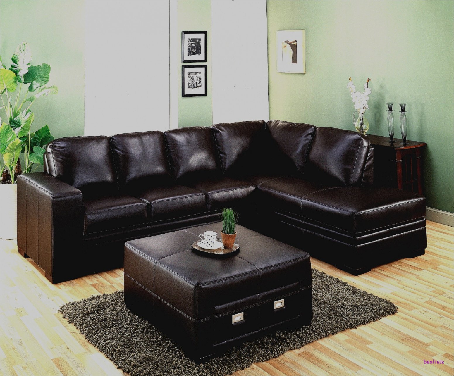 Black Leather Bedroom Set Best Of 30 Best Couches for Dark Hardwood Floors